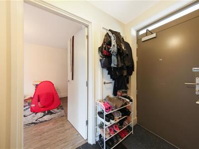 Picture 7